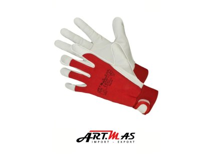 Nový projekt 2025 08 13T142148.761