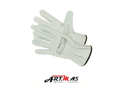 Nový projekt 2025 08 13T142323.718