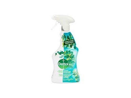 dettol 500ml eucalypt