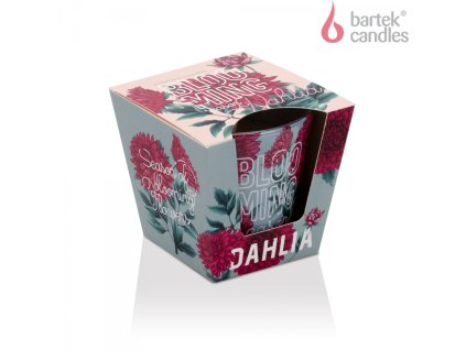 Bartek Candles Dahlia vonná sviečka 115g