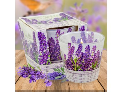 Bartek Candles Lavender Basket vonná sviečka 115g