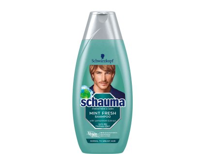 Schauma For Men šampón pre normálne a mastné vlasy 400 ml