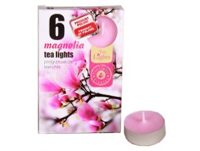 Čajové vonné sviečky (6ks) - Magnolia