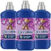 pol pl Coccolino Creations Plyn do Plukania Purple Orchid Blueberries 3x1 275L 153 pran 9961 2