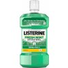 listerin fresh mint antibakterial 600ml