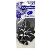 paloma gold black diamond