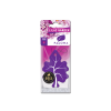 paloma gold lilac