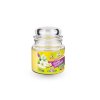 citronella sklo 120g