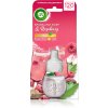 sparkling rose raspberry 240715