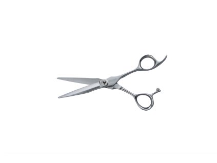 Snímek obrazovky 2025 10 06 v 19.45.50