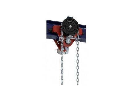 kočka jednonosníková