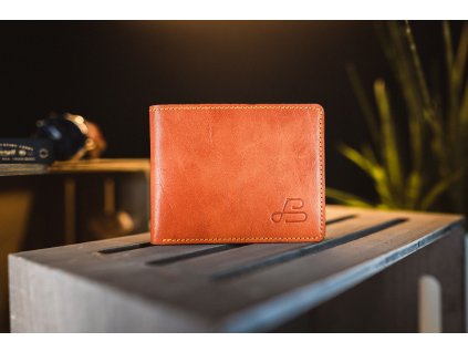 Pánská kožená peněženka Compact, světle hnědá / hnědá