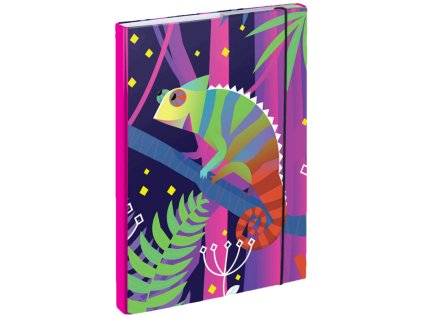 BAAGL Desky na školní sešity A4 Chameleon
