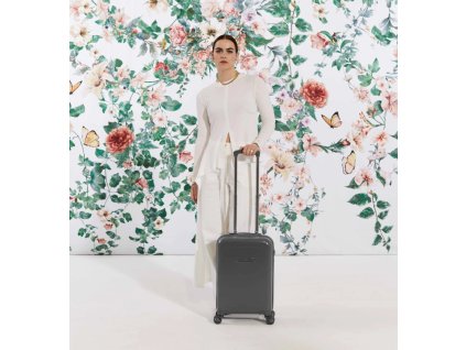 371868 15 cestovni sada suitsuit blossom december sky s