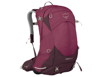 Osprey SIRRUS 34 elderberry purple/chiru tan