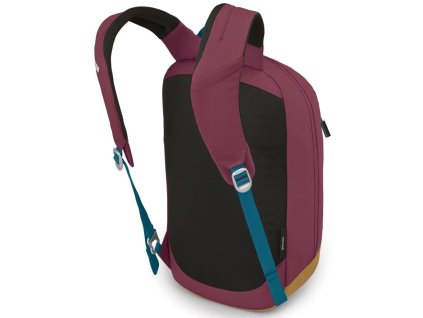 393798 1 osprey arcane small day allium red brindl brwn