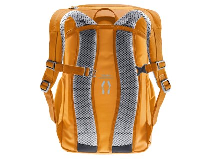 428329 1 3610523 9911 junior maple amber d 01