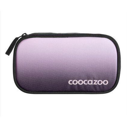 510096 1 00211810abx