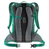 314809 8 deuter race x fern graphite