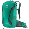 Deuter Race X fern-graphite
