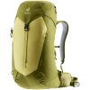 deuter AC Lite 24 linden-cactus