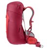 423907 4 3421024 5598 aclite30 cherry masala d 04