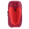 423907 5 3421024 5598 aclite30 cherry masala d 05