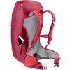 423907 7 3421024 5598 aclite30 cherry masala d 07