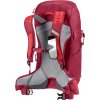 423907 8 3421024 5598 aclite30 cherry masala d 08