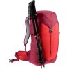 423907 9 3421024 5598 aclite30 cherry masala d 09