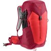 423907 10 3421024 5598 aclite30 cherry masala d 10
