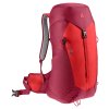 423907 12 3421024 5598 aclite30 cherry masala d 12