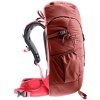 397614 2 3611024 5595 climber22 redwood hibiscus d 02