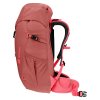397614 4 3611024 5595 climber22 redwood hibiscus d 04