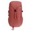 397614 5 3611024 5595 climber22 redwood hibiscus d 05