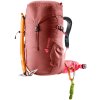 397614 7 3611024 5595 climber22 redwood hibiscus d 07