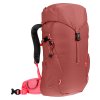 397614 8 3611024 5595 climber22 redwood hibiscus d 08