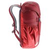 428326 2 3610523 5597 junior masala cherry d 02