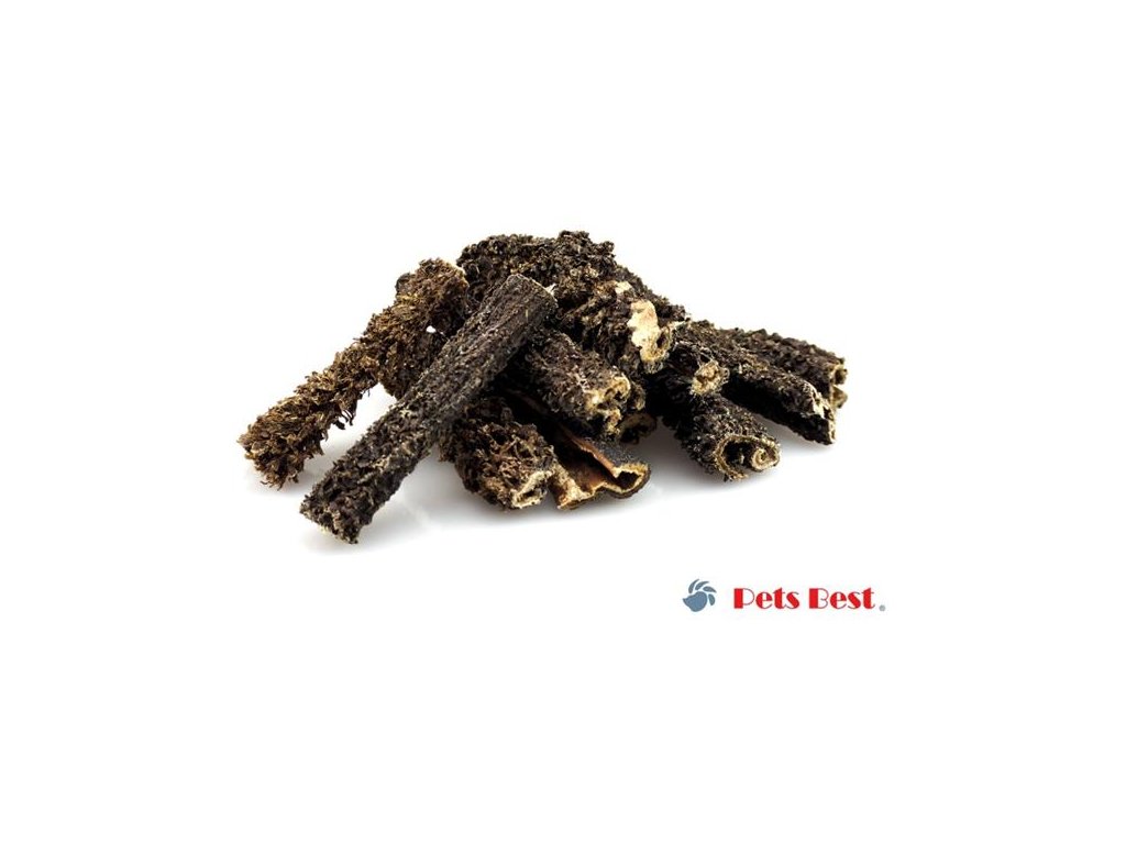 77883 1 pets best hovezi drstky 250g z kategorie chovatelske potreby a krmiva pro psy pamlsky pro psy susene vnitrnosti kosti pro psy