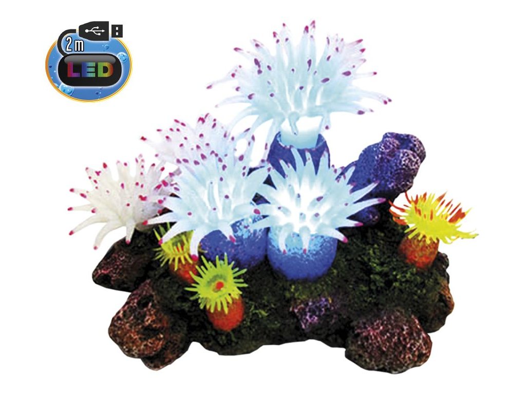 27723 2 nobby akvarijni dekorace aplysina s led 16 5 x 12 x 11 cm z kategorie akvaristicke a teraristicke potreby dekorace do akvaria dekorace s led osvetlenim