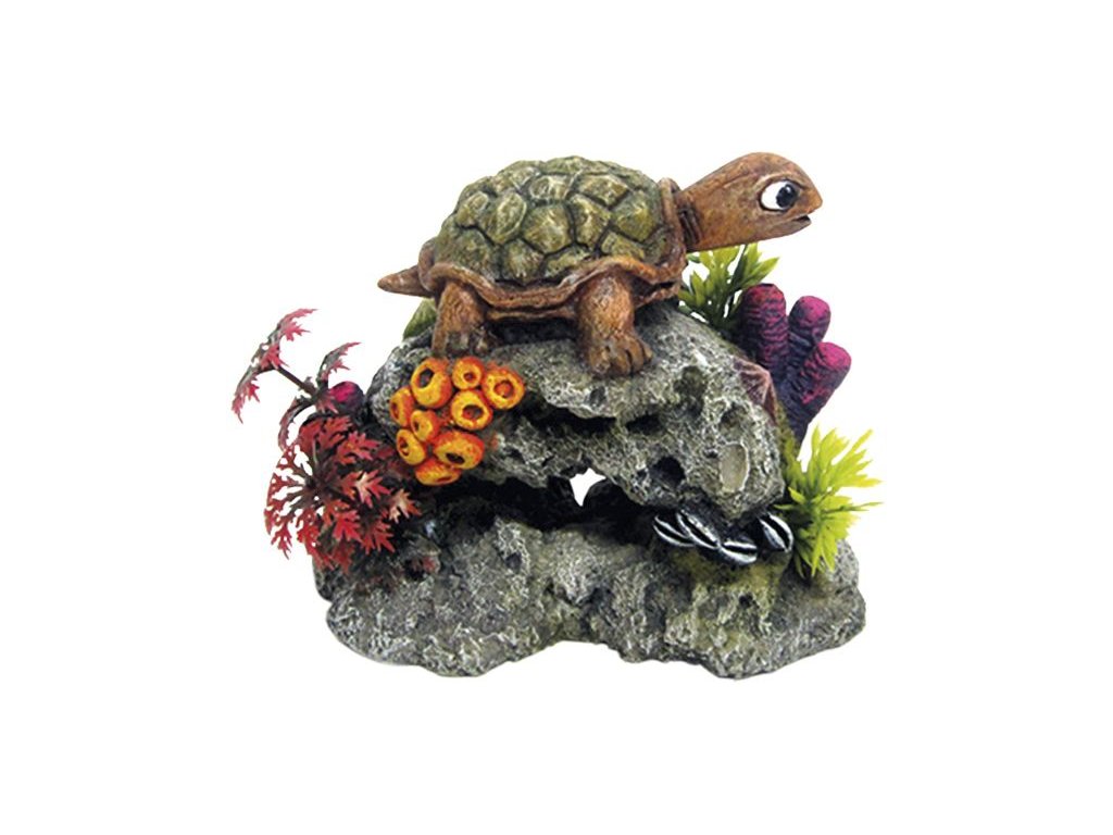 29337 1 nobby akvarijni dekorace zelva na skale 13 5 x 8 5 x 10 7 cm z kategorie akvaristicke a teraristicke potreby dekorace do akvaria zvirata ryby