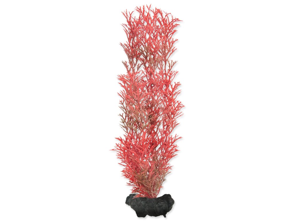 61127 1 rostlina tetra foxtail red m 1 ks z kategorie akvaristicke a teraristicke potreby akvarijni technika