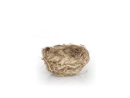 105178 hnizdo travni s klasy