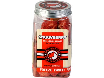 90726 1 133809 pochoutka mrazem susena jahoda 25g kiwi