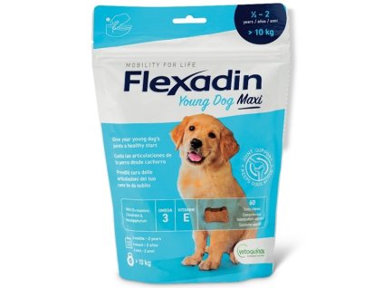 53577 4 vetoquinol flexadin young dog maxi zvykaci 60 tbl 1