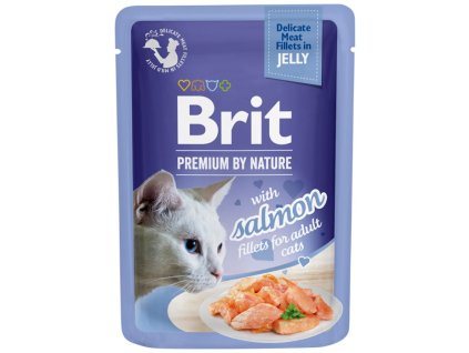 91510 1 brit premium cat delicate fillets in jelly with salmon 85g