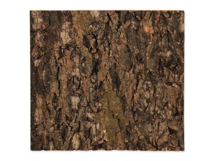 89457 pozadi repti planet korek prirodni 29x27 3x2cm