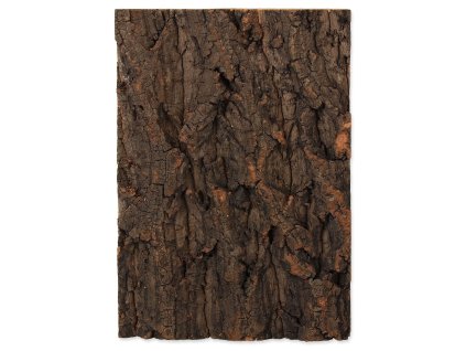 89466 pozadi repti planet korek prirodni 19x27 3x2cm