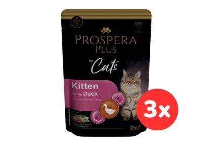 102511 1513 10101 set3