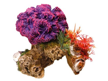 8754 1 nobby akvarijni dekorace koraly 13 x 10 x 12 cm z kategorie akvaristicke a teraristicke potreby dekorace do akvaria koraly musle